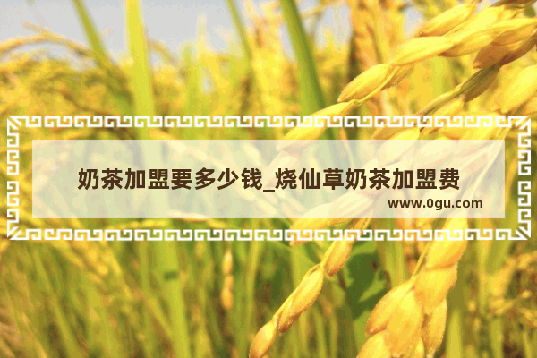 奶茶加盟要多少钱_烧仙草奶茶加盟费