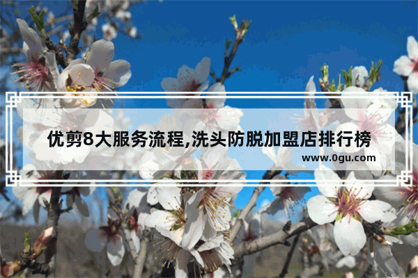 优剪8大服务流程,洗头防脱加盟店排行榜