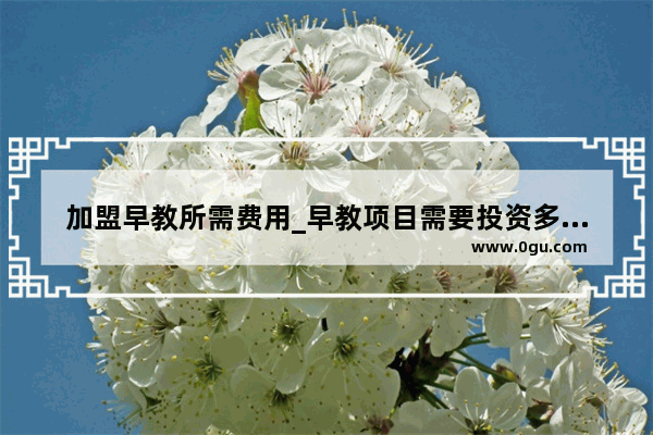 加盟早教所需费用_早教项目需要投资多少钱