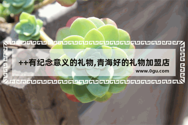 ++有纪念意义的礼物,青海好的礼物加盟店推荐