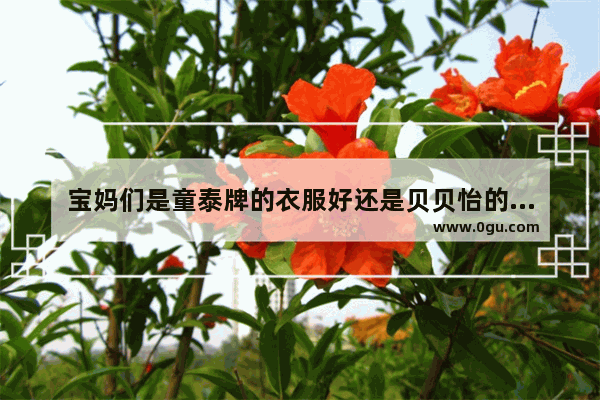 宝妈们是童泰牌的衣服好还是贝贝怡的衣服好啊 贝贝怡加盟怎么样