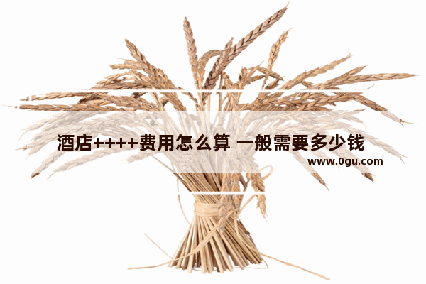 酒店++++费用怎么算 一般需要多少钱 连锁酒店加盟收购