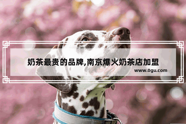 奶茶最贵的品牌,南京爆火奶茶店加盟