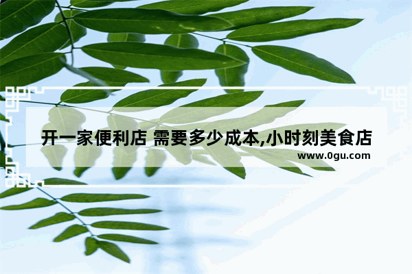 开一家便利店 需要多少成本,小时刻美食店加盟多少钱