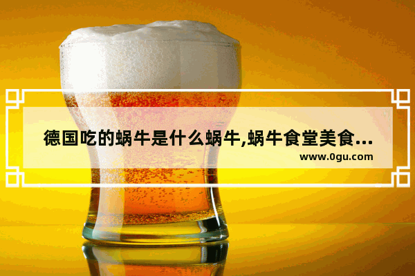 德国吃的蜗牛是什么蜗牛,蜗牛食堂美食加盟