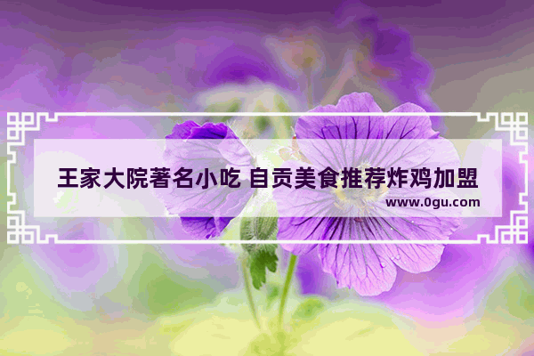王家大院著名小吃 自贡美食推荐炸鸡加盟