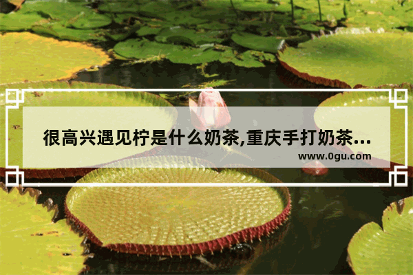 很高兴遇见柠是什么奶茶,重庆手打奶茶加盟