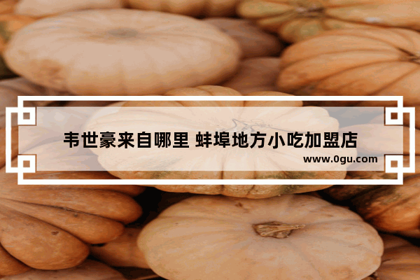 韦世豪来自哪里 蚌埠地方小吃加盟店