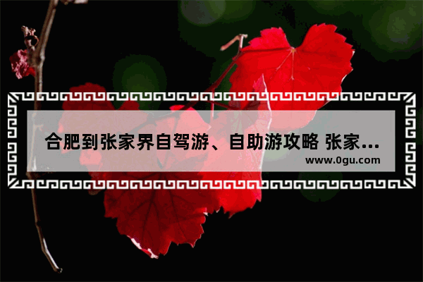 合肥到张家界自驾游、自助游攻略 张家界拼团电商加盟店推荐哪家