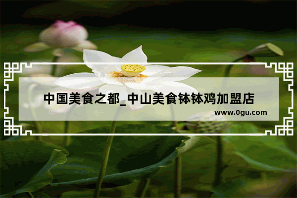 中国美食之都_中山美食钵钵鸡加盟店