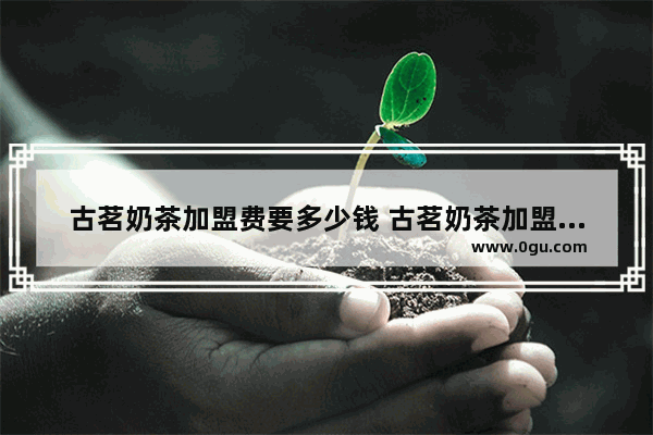 古茗奶茶加盟费要多少钱 古茗奶茶加盟加盟