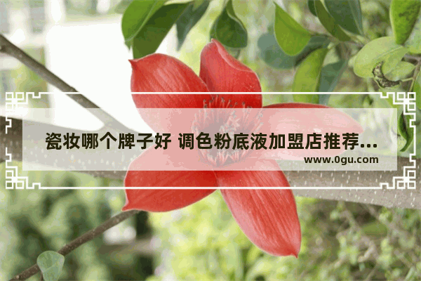 瓷妆哪个牌子好 调色粉底液加盟店推荐一下