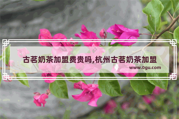 古茗奶茶加盟费贵吗,杭州古茗奶茶加盟