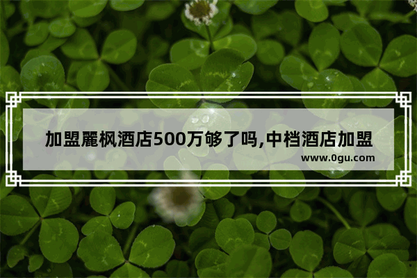加盟麗枫酒店500万够了吗,中档酒店加盟品牌