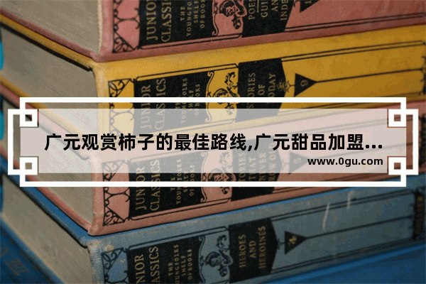 广元观赏柿子的最佳路线,广元甜品加盟店推荐
