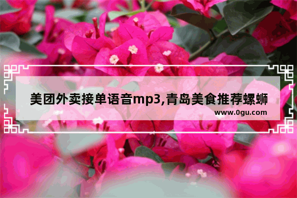 美团外卖接单语音mp3,青岛美食推荐螺蛳粉加盟