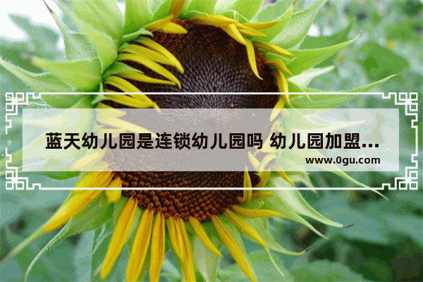 蓝天幼儿园是连锁幼儿园吗 幼儿园加盟品牌排行