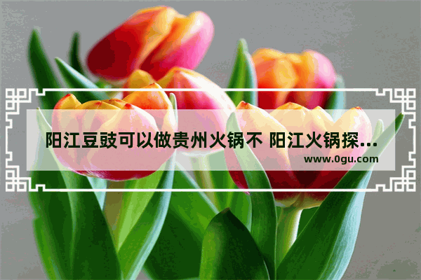 阳江豆豉可以做贵州火锅不 阳江火锅探店美食加盟