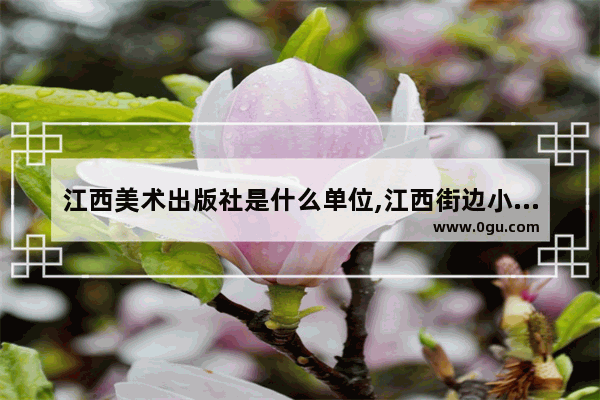 江西美术出版社是什么单位,江西街边小吃加盟店