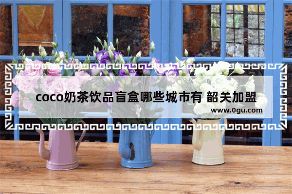 coco奶茶饮品盲盒哪些城市有 韶关加盟奶茶店怎么选址