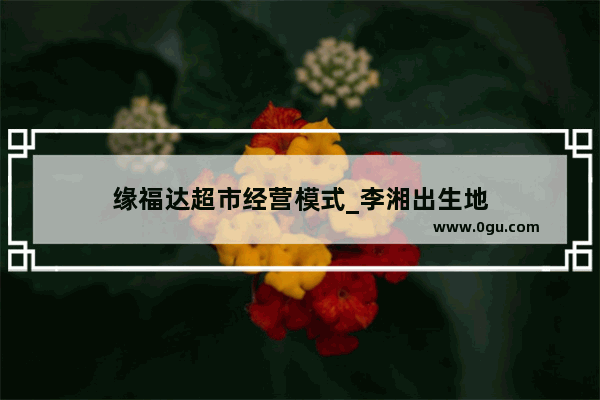 缘福达超市经营模式_李湘出生地