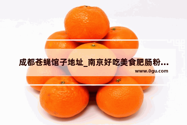 成都苍蝇馆子地址_南京好吃美食肥肠粉加盟