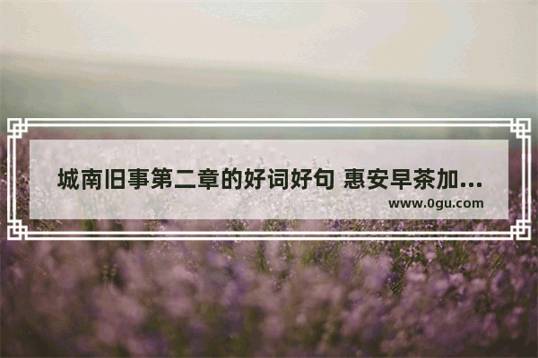 城南旧事第二章的好词好句 惠安早茶加盟品牌