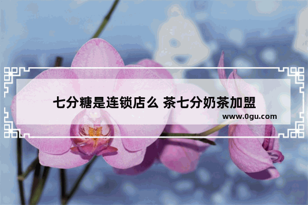 七分糖是连锁店么 茶七分奶茶加盟