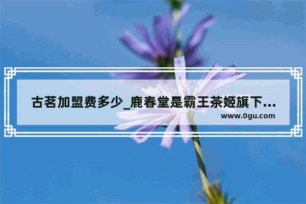 古茗加盟费多少_鹿春堂是霸王茶姬旗下的品牌吗