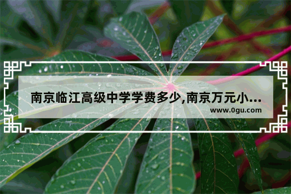 南京临江高级中学学费多少,南京万元小吃加盟店排名