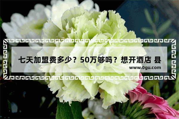 七天加盟费多少？50万够吗？想开酒店 县城,可靠的城市便捷酒店加盟