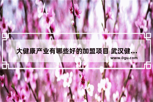 大健康产业有哪些好的加盟项目 武汉健康小吃加盟