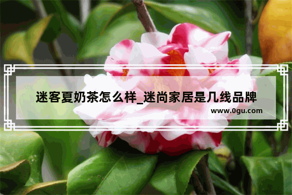 迷客夏奶茶怎么样_迷尚家居是几线品牌