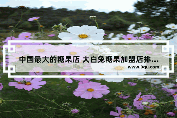 中国最大的糖果店 大白兔糖果加盟店排行榜