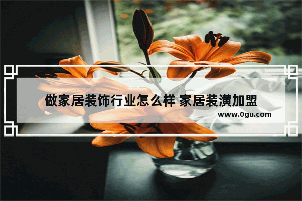 做家居装饰行业怎么样 家居装潢加盟