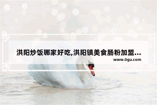 洪阳炒饭哪家好吃,洪阳镇美食肠粉加盟多少钱