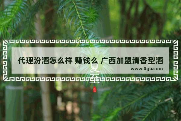 代理汾酒怎么样 赚钱么 广西加盟清香型酒店价格