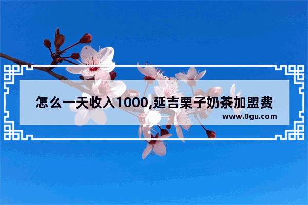 怎么一天收入1000,延吉栗子奶茶加盟费多少