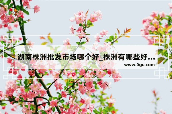 湖南株洲批发市场哪个好_株洲有哪些好饭店呢