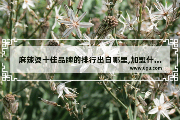 麻辣烫十佳品牌的排行出自哪里,加盟什么麻辣烫店