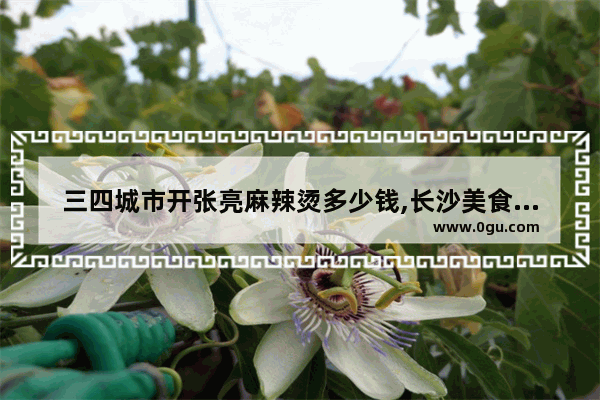 三四城市开张亮麻辣烫多少钱,长沙美食清爽麻辣烫加盟