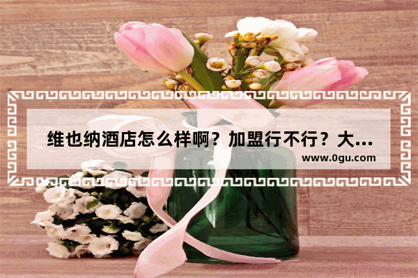 维也纳酒店怎么样啊？加盟行不行？大家给点建议~,加盟餐饮酒店可行吗