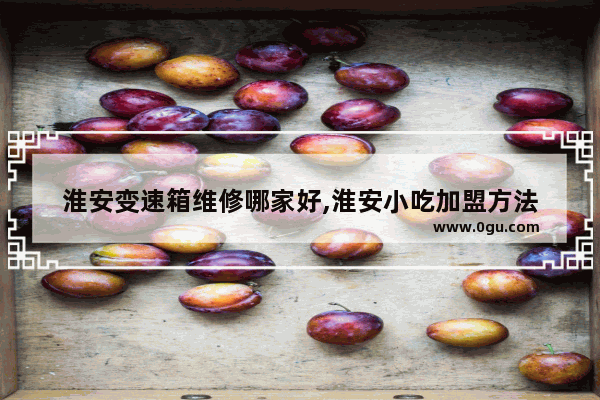 淮安变速箱维修哪家好,淮安小吃加盟方法