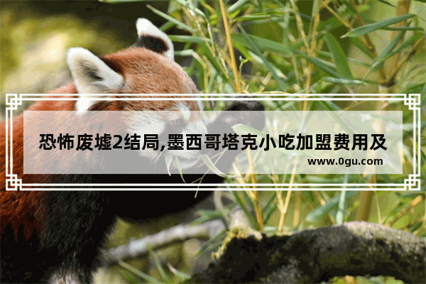 恐怖废墟2结局,墨西哥塔克小吃加盟费用及条件