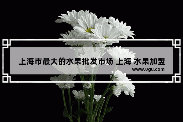 上海市最大的水果批发市场 上海 水果加盟店排行榜