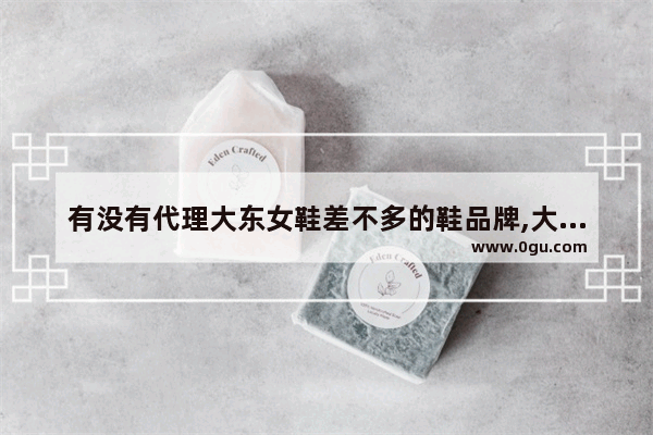 有没有代理大东女鞋差不多的鞋品牌,大东女鞋如何加盟品牌