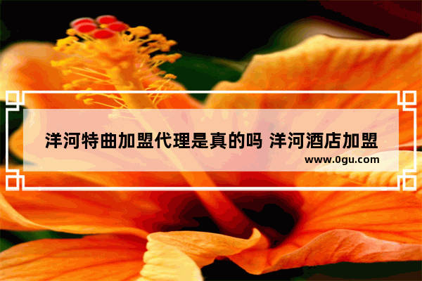 洋河特曲加盟代理是真的吗 洋河酒店加盟