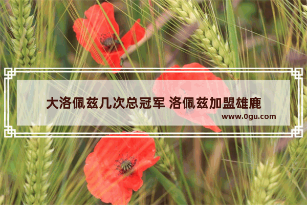大洛佩兹几次总冠军 洛佩兹加盟雄鹿