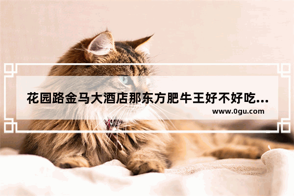 花园路金马大酒店那东方肥牛王好不好吃 内江珍珠奶茶加盟费用
