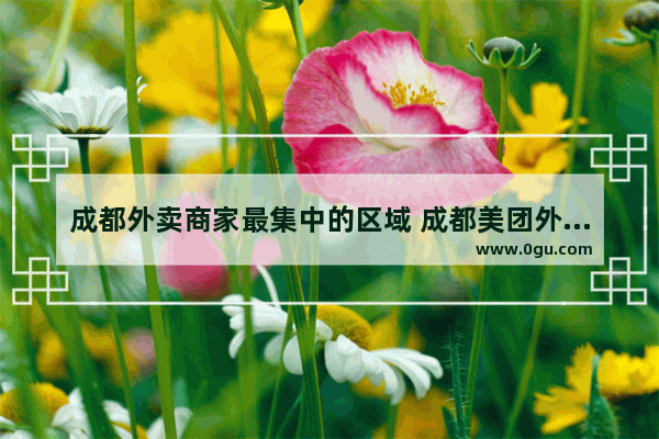 成都外卖商家最集中的区域 成都美团外卖加盟店排行榜